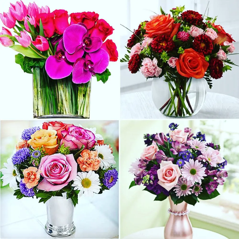 Custom landscape design near you across San Marcos, CA - Interior & Exterior Environment Designs