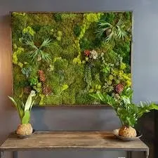 Custom outdoor landscaping experts serving San Marcos, CA - Interior & Exterior Environment Designs