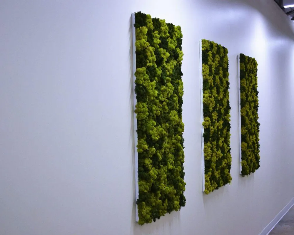 Affordable lawn care service in Greenville, SC by Interior Plantscapes