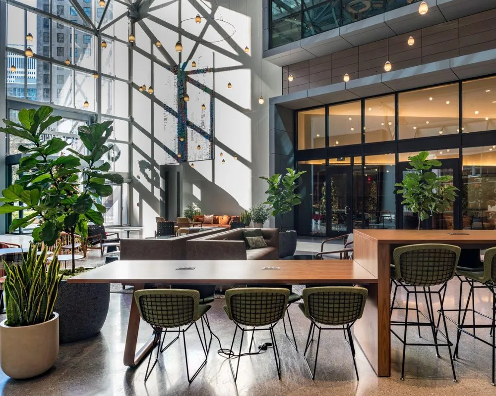 Professional landscape design for outdoor upgrades across Greenville, SC - Interior Plantscapes