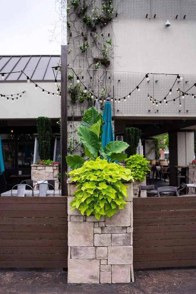 Professional outdoor landscaping experts serving Greenville, SC - Interior Plantscapes