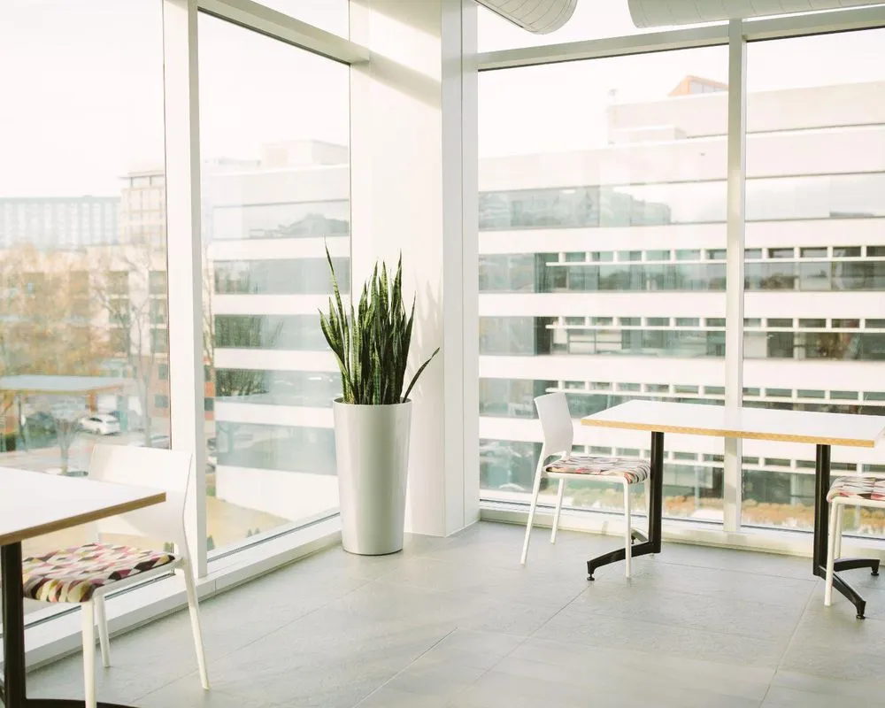 Top-rated landscape installation in Greenville, SC by Interior Plantscapes