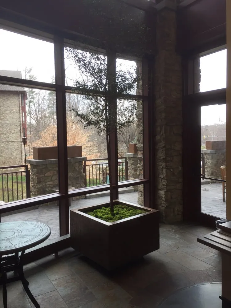 Top-rated residential landscaping in Laurel, MD by Interior Plantscapes