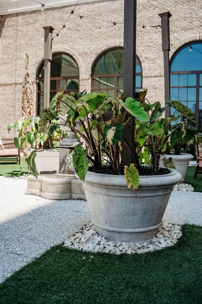 Trusted landscaping services in North Charleston, SC by Interior Plantscapes