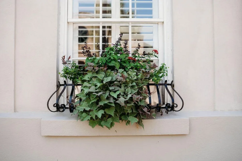 Custom garden landscaping in North Charleston, SC by Interior Plantscapes