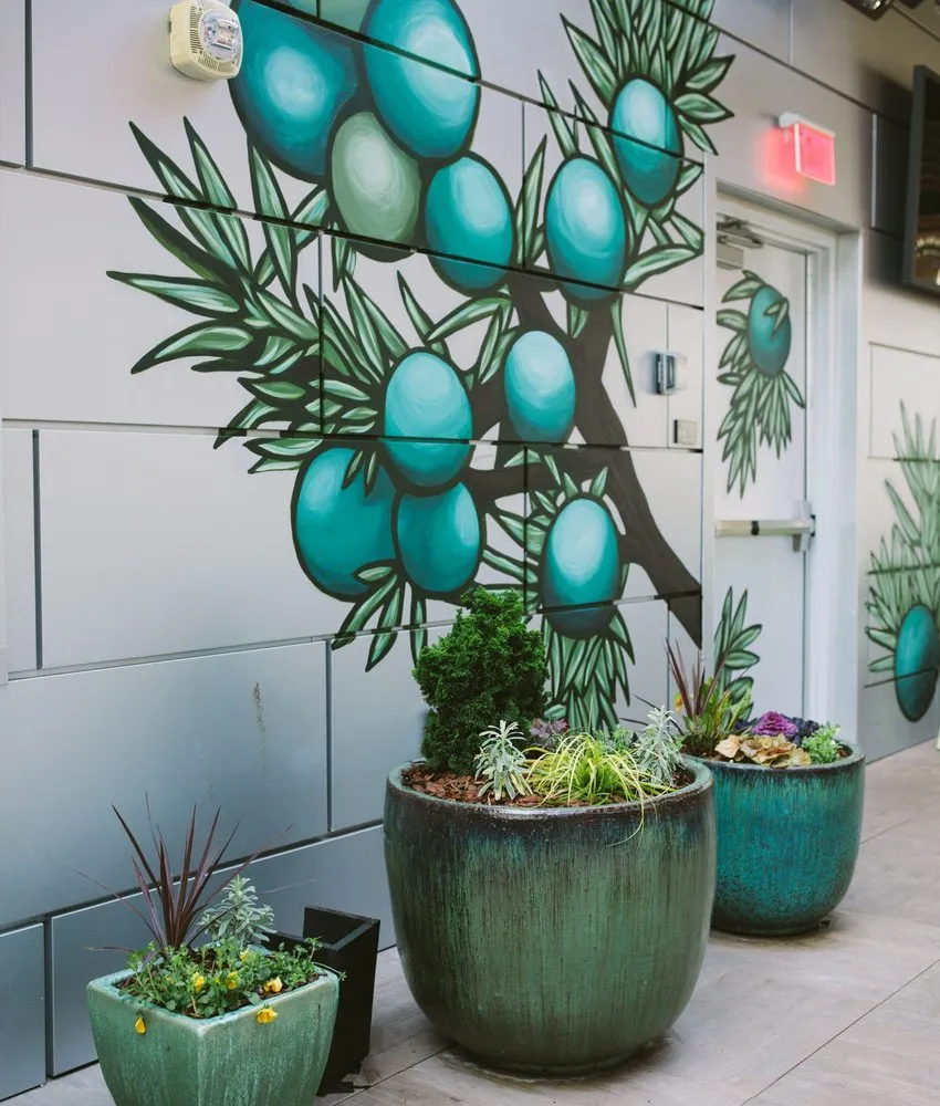 Custom outdoor landscaping in West Columbia, SC by Interior Plantscapes