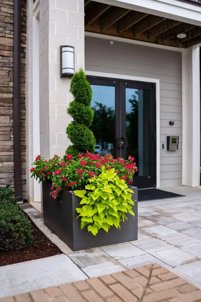 Custom residential landscaping in West Columbia, SC by Interior Plantscapes