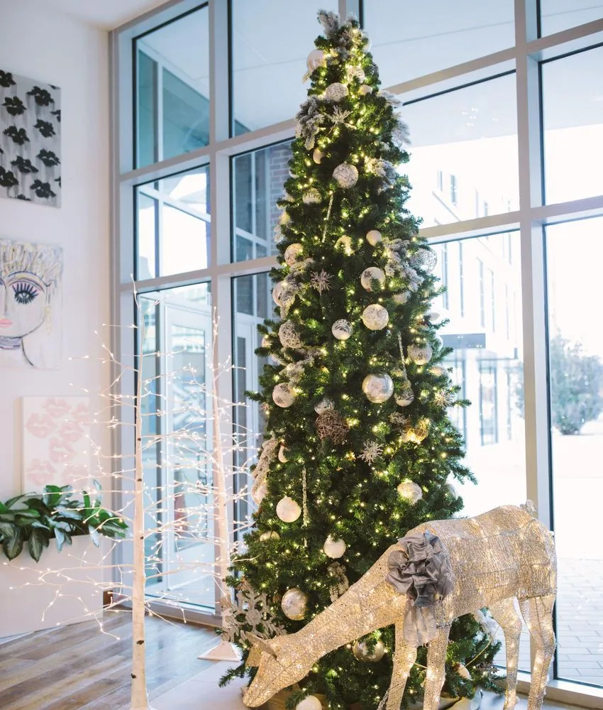 Local yard cleanup service for homes across West Columbia, SC - Interior Plantscapes