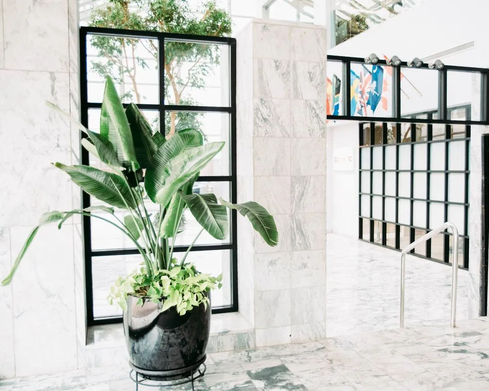 Expert lawn care service in West Columbia, SC - Interior Plantscapes