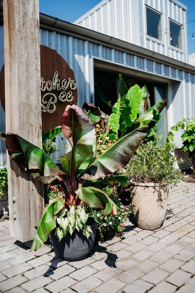 Trusted outdoor landscaping for year-round maintenance in West Columbia, SC by Interior Plantscapes