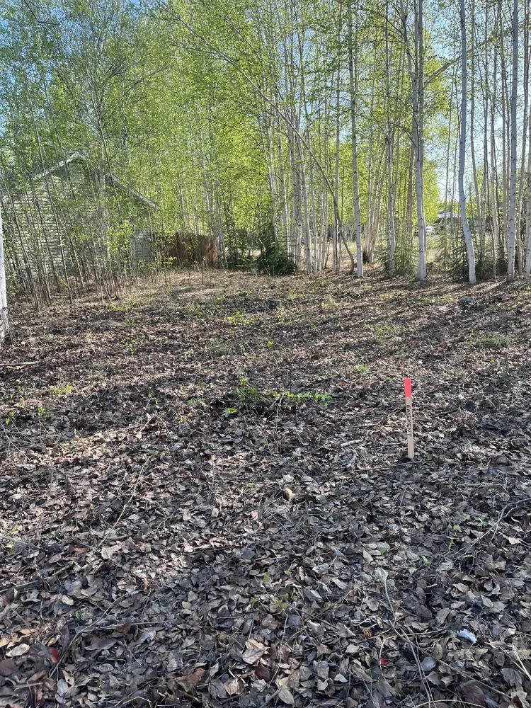 Reliable landscape installation for beautiful yards in Fairbanks, AK by Interior Tree And Landscaping