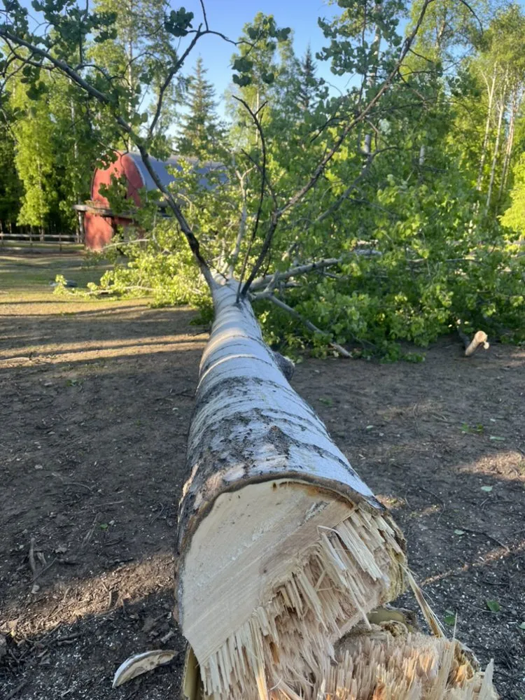 Local garden landscaping experts serving Fairbanks, AK - Interior Tree And Landscaping