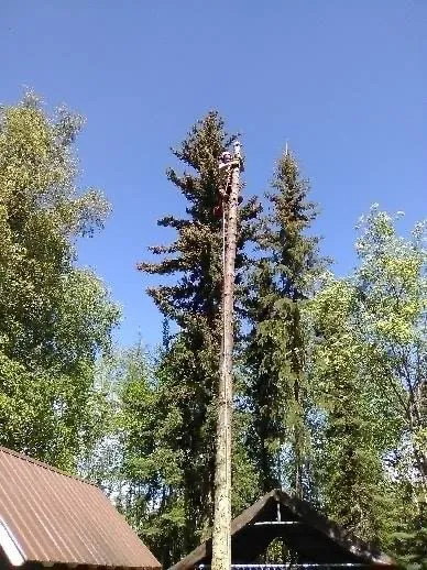 Expert garden landscaping in Fairbanks, AK by Interior Tree And Landscaping