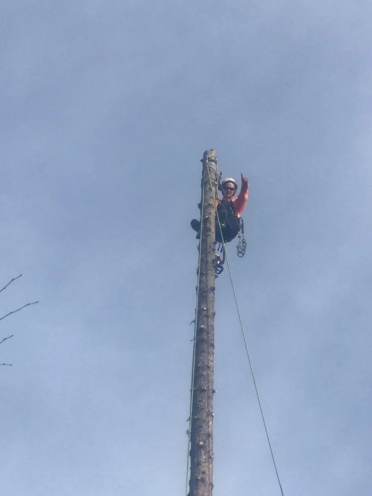 Reliable landscape installation for homes in Fairbanks, AK by Interior Tree And Landscaping