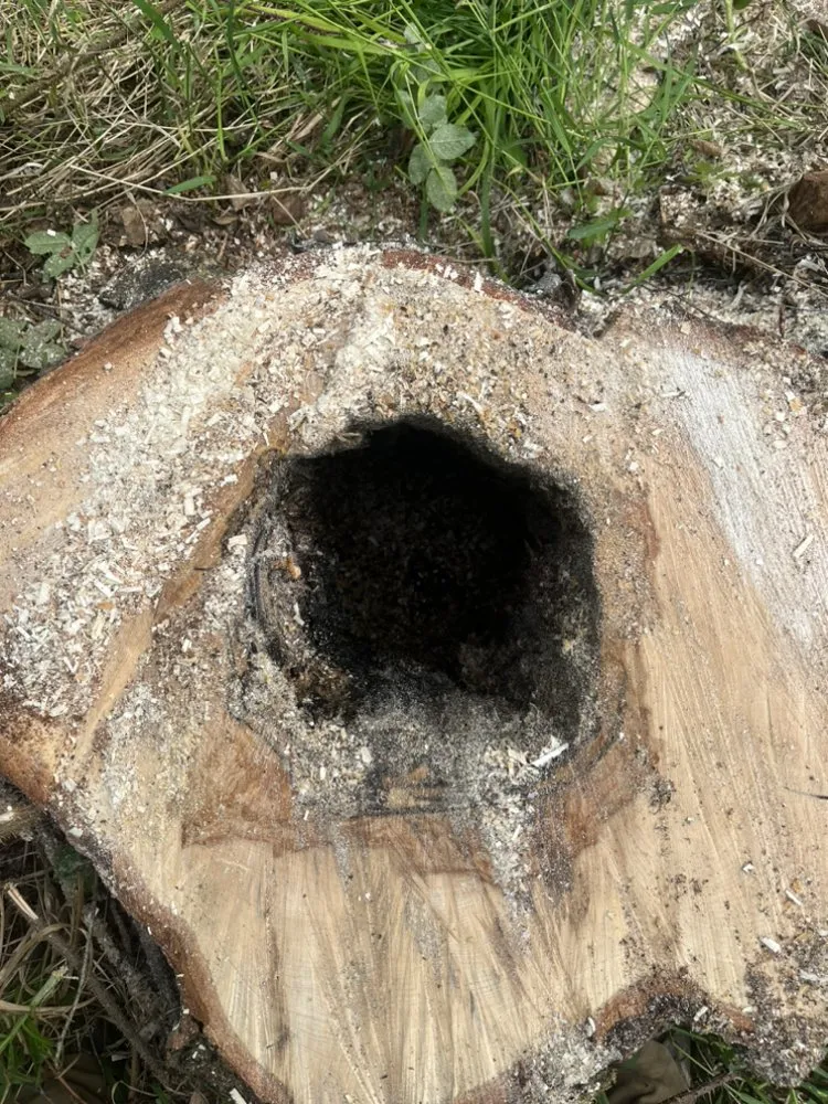 Custom outdoor landscaping in Fairbanks, AK by Interior Tree And Landscaping