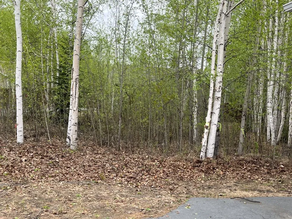 Local lawn mowing service for homes in Fairbanks, AK by Interior Tree And Landscaping