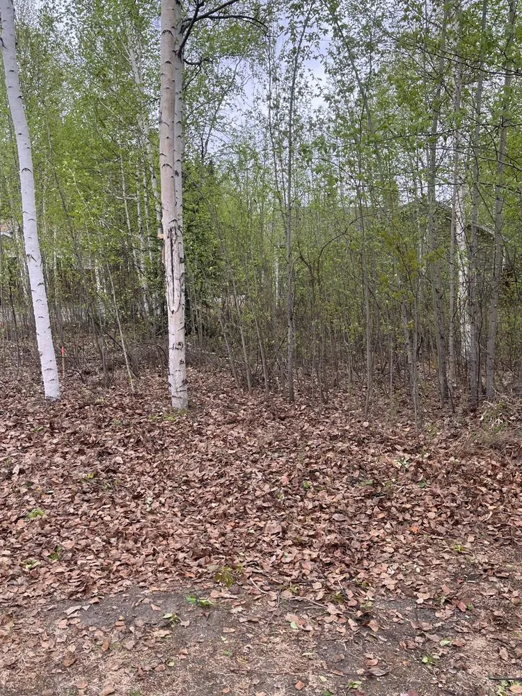 Trusted garden landscaping experts serving Fairbanks, AK - Interior Tree And Landscaping