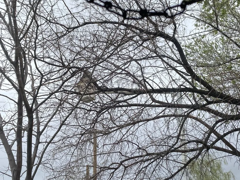 Expert residential landscaping for beautiful yards in Pocatello, ID by Intermountain Tree Service