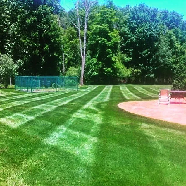 Expert yard cleanup service experts serving Euclid, OH - International Construction Solutions