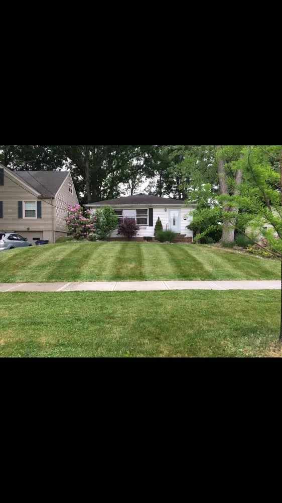 Expert lawn care service for homes in Euclid, OH by International Construction Solutions
