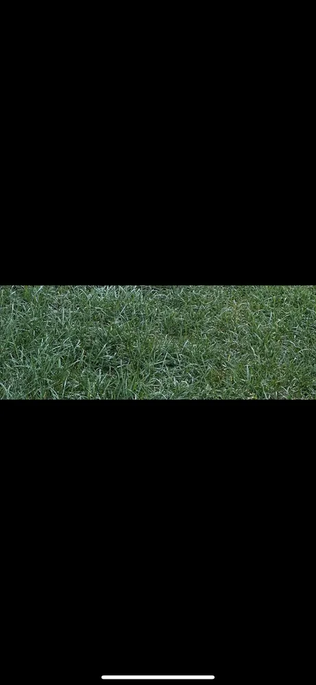 Trusted yard maintenance for outdoor upgrades across Danville, IN - International Lawn and Landscape Service