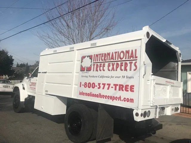 Local landscape installation experts serving Sacramento, CA - International Tree Experts