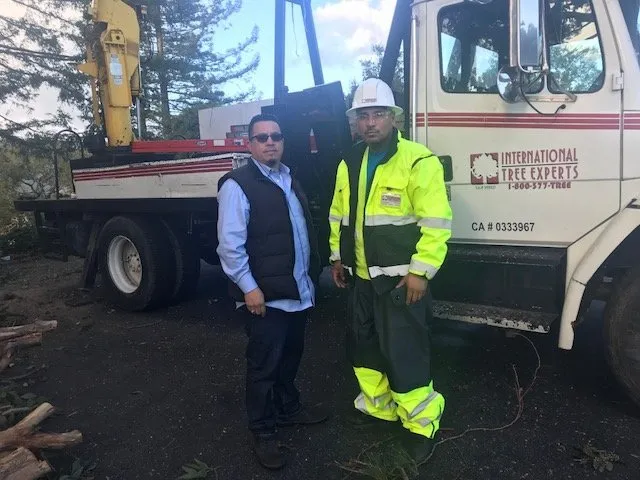 Affordable garden landscaping in Sacramento, CA by International Tree Experts