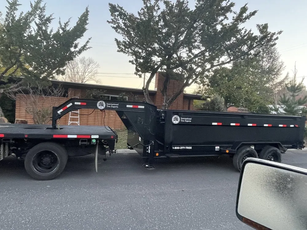 Trusted yard maintenance for outdoor upgrades in San Jose, CA by International Tree Experts