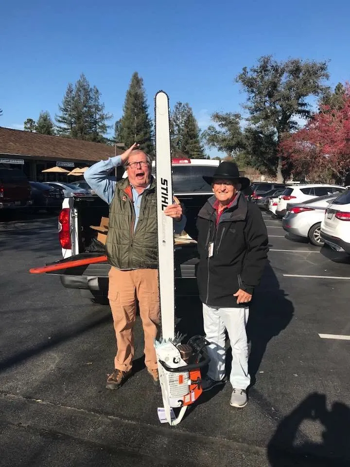 Professional yard cleanup service for year-round maintenance in San Jose, CA by International Tree Experts