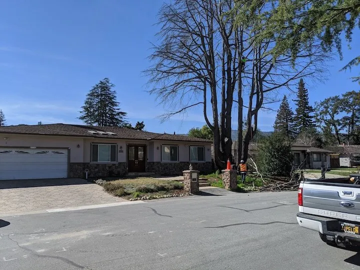 Custom garden landscaping in San Jose, CA by International Tree Experts