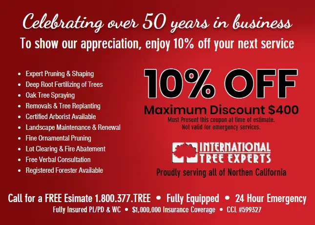 Affordable lawn mowing service for outdoor upgrades across San Jose, CA - International Tree Experts