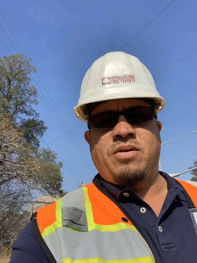 Affordable residential landscaping experts serving San Jose, CA - International Tree Experts