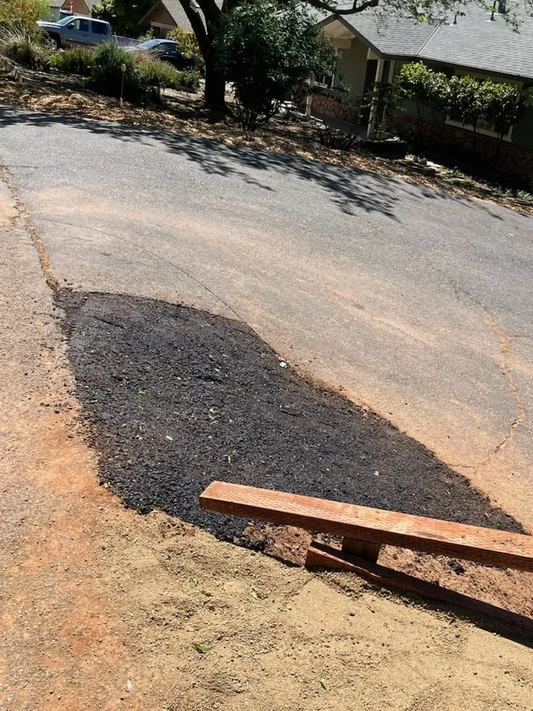 Professional lawn care service for beautiful yards across San Jose, CA - International Tree Experts