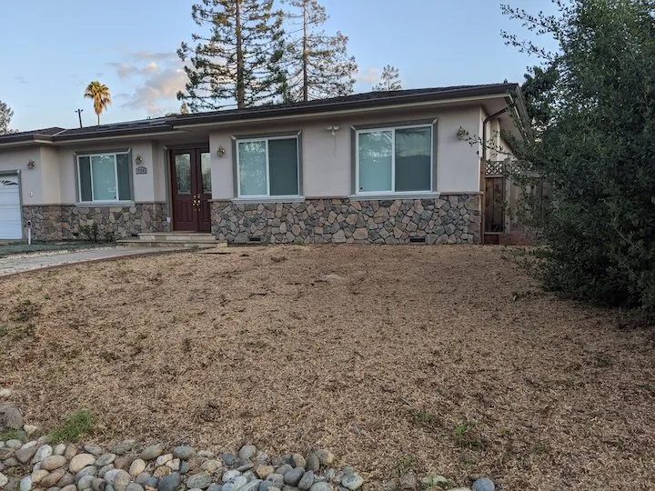 Local lawn care service in San Jose, CA - International Tree Experts