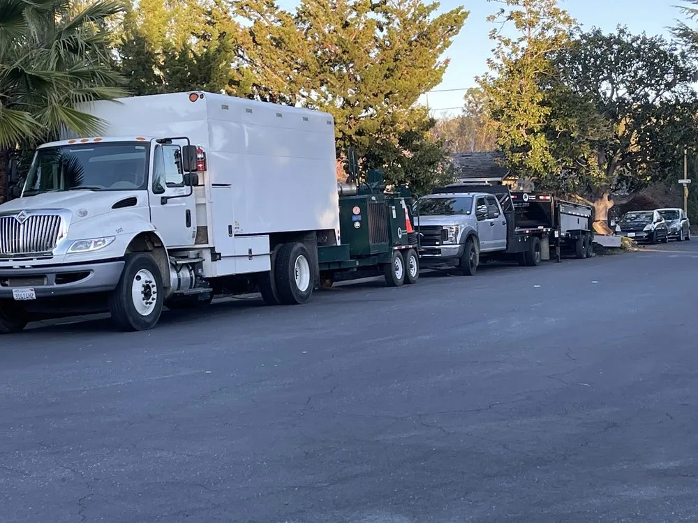 Professional outdoor landscaping in San Jose, CA - International Tree Experts