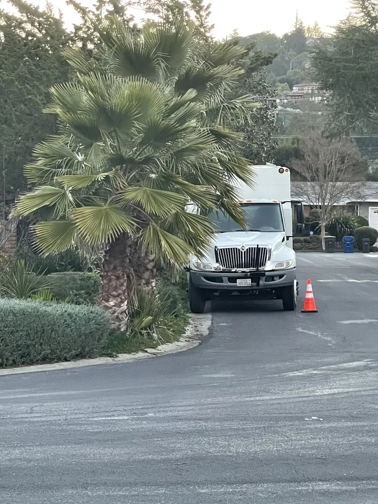 Trusted lawn mowing service with custom design in San Jose, CA by International Tree Experts