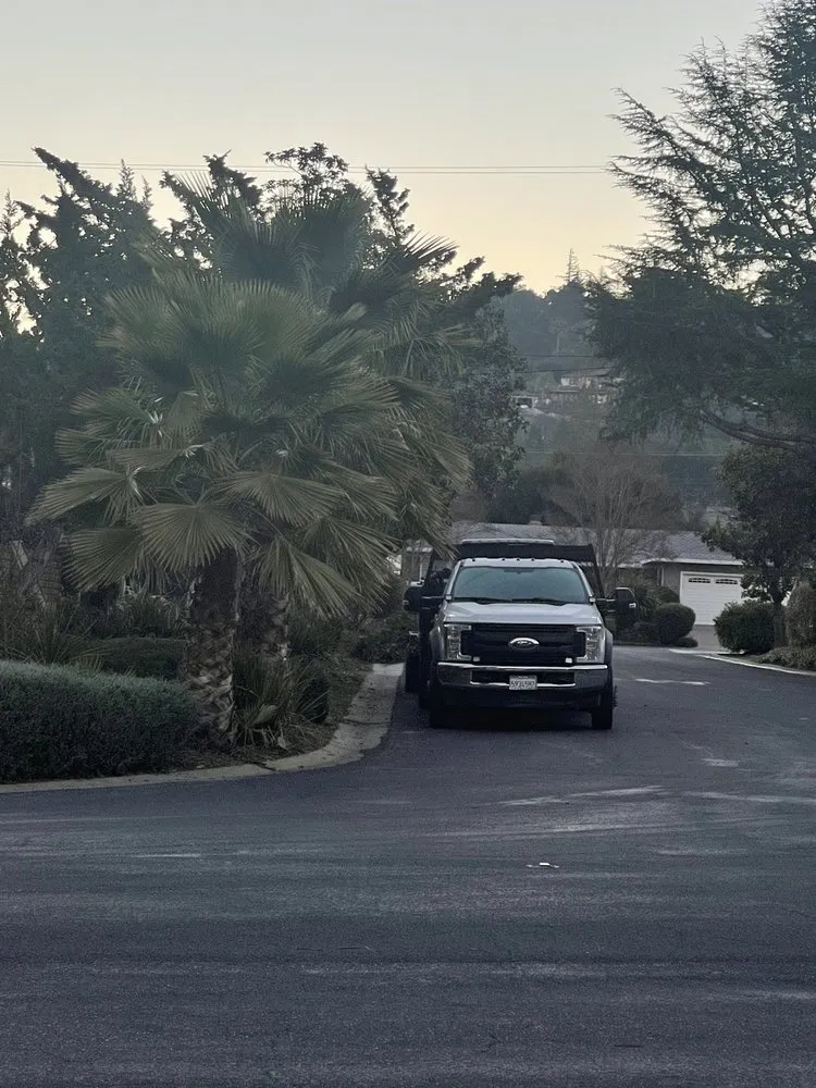 Affordable landscape design for homes in San Jose, CA by International Tree Experts