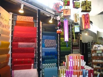 Professional lawn care service in San Jose, CA - International Tree Experts