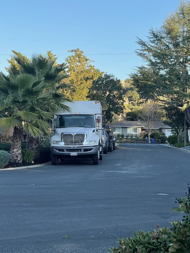 Expert landscape installation in San Jose, CA - International Tree Experts