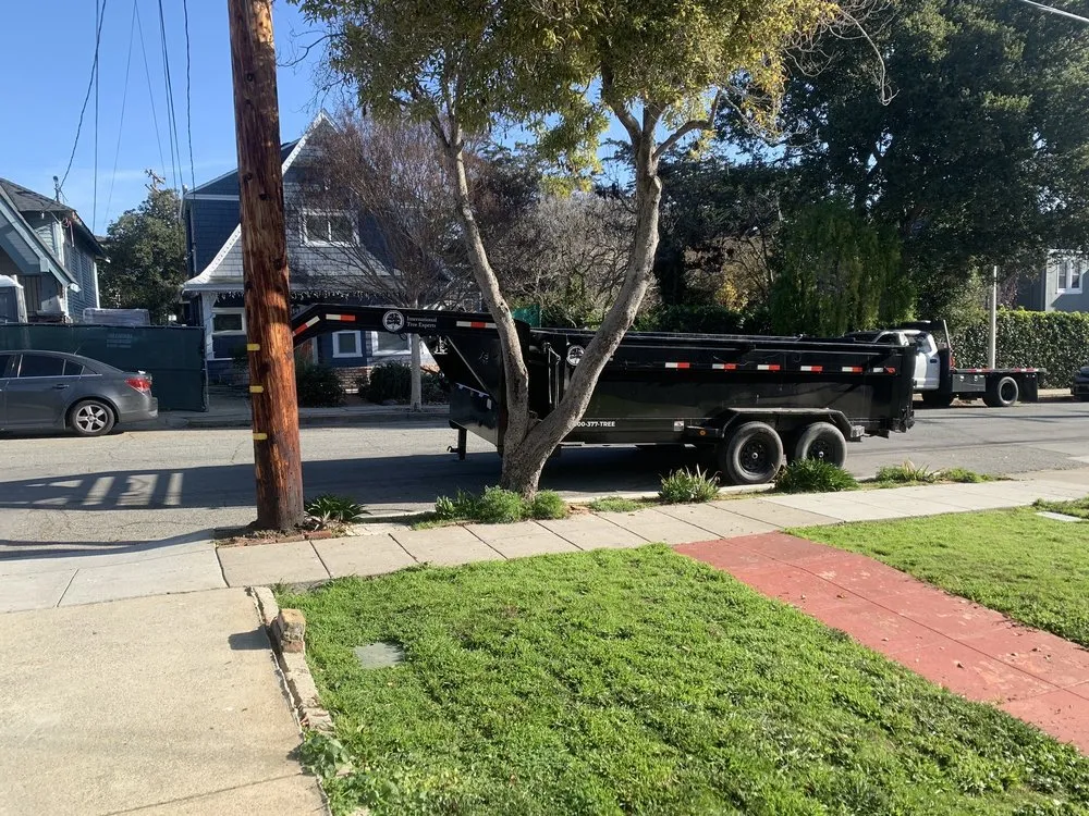 Top-rated outdoor landscaping for year-round maintenance across Woodside, CA - International Tree Experts