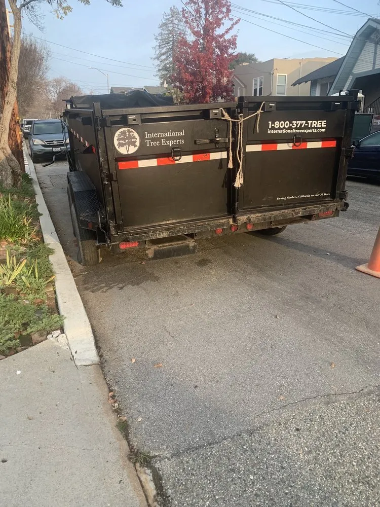 Custom outdoor landscaping in Woodside, CA by International Tree Experts