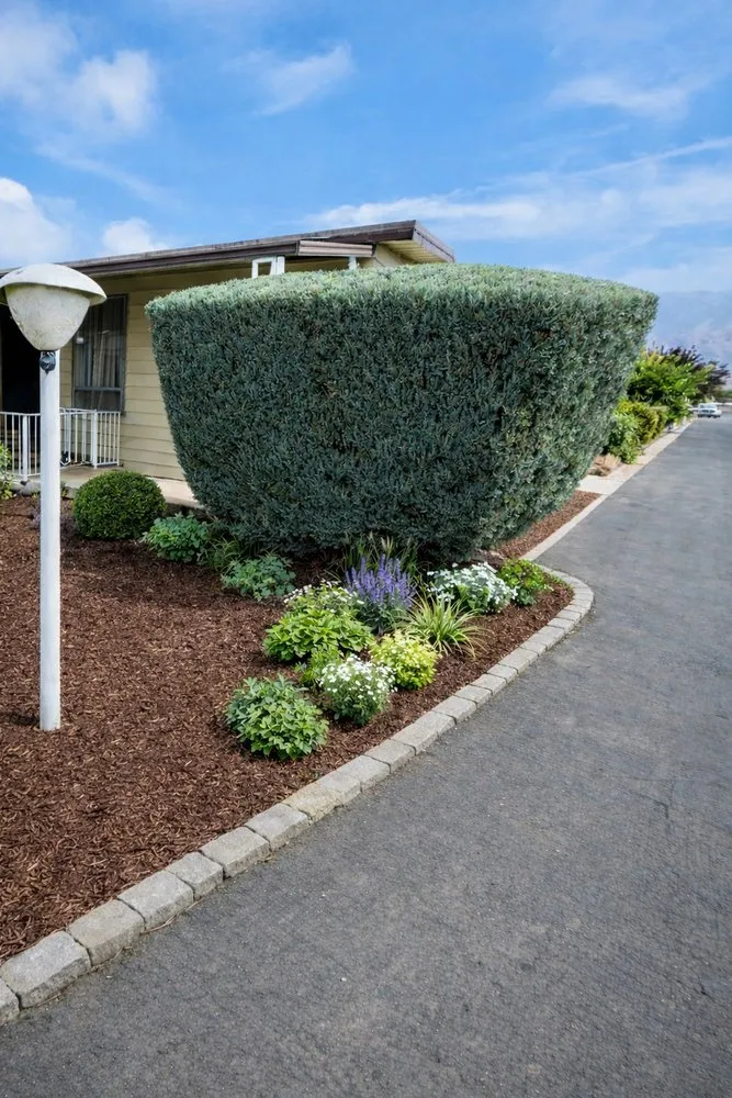 Reliable outdoor landscaping in San Bernardino, CA - Interscapes Landscaping
