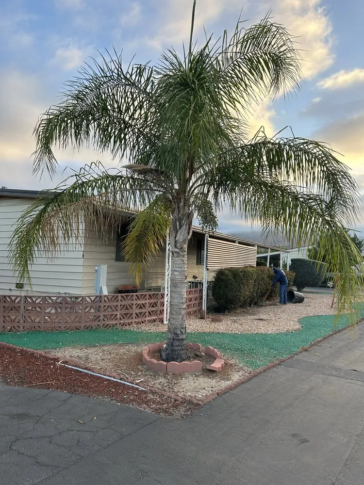 Reliable landscape installation near you across San Bernardino, CA - Interscapes Landscaping