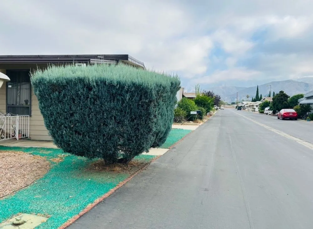 Top-rated residential landscaping in San Bernardino, CA by Interscapes Landscaping