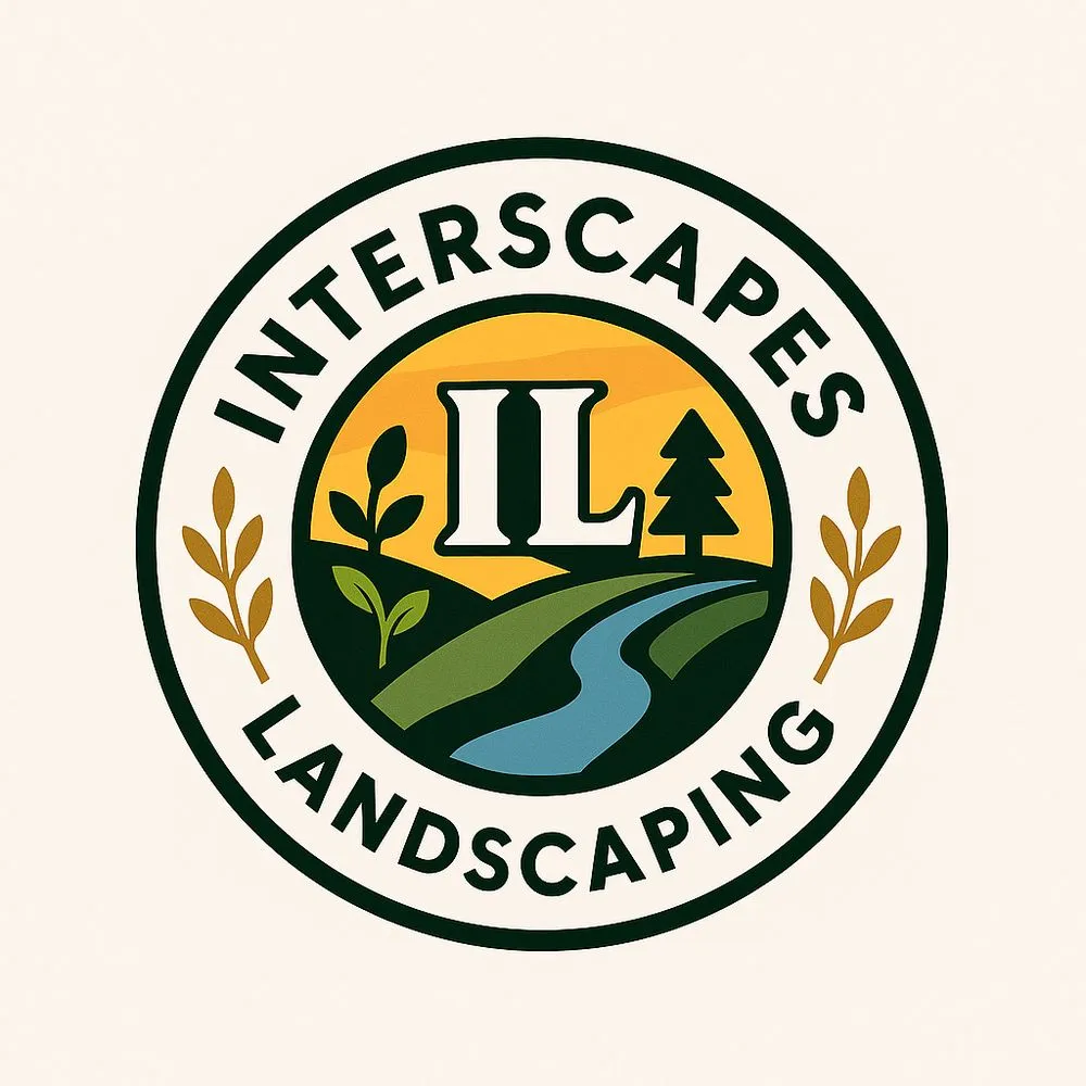 Custom yard cleanup service in San Bernardino, CA by Interscapes Landscaping