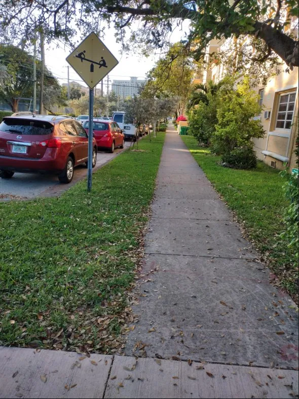 Local residential landscaping in Plantation, FL by Interscope Landscaping