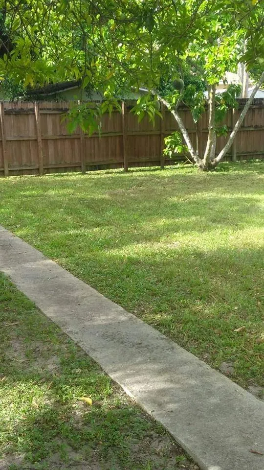 Top-rated outdoor landscaping in Plantation, FL by Interscope Landscaping