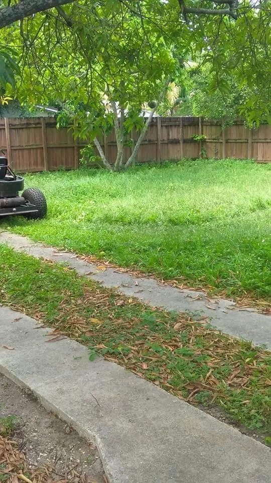 Trusted outdoor landscaping experts serving Plantation, FL - Interscope Landscaping