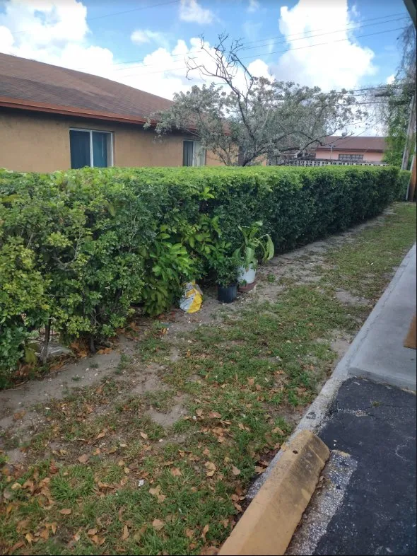 Top-rated lawn mowing service in Plantation, FL by Interscope Landscaping