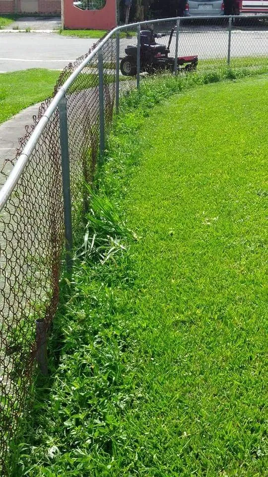 Affordable residential landscaping for homes across Plantation, FL - Interscope Landscaping